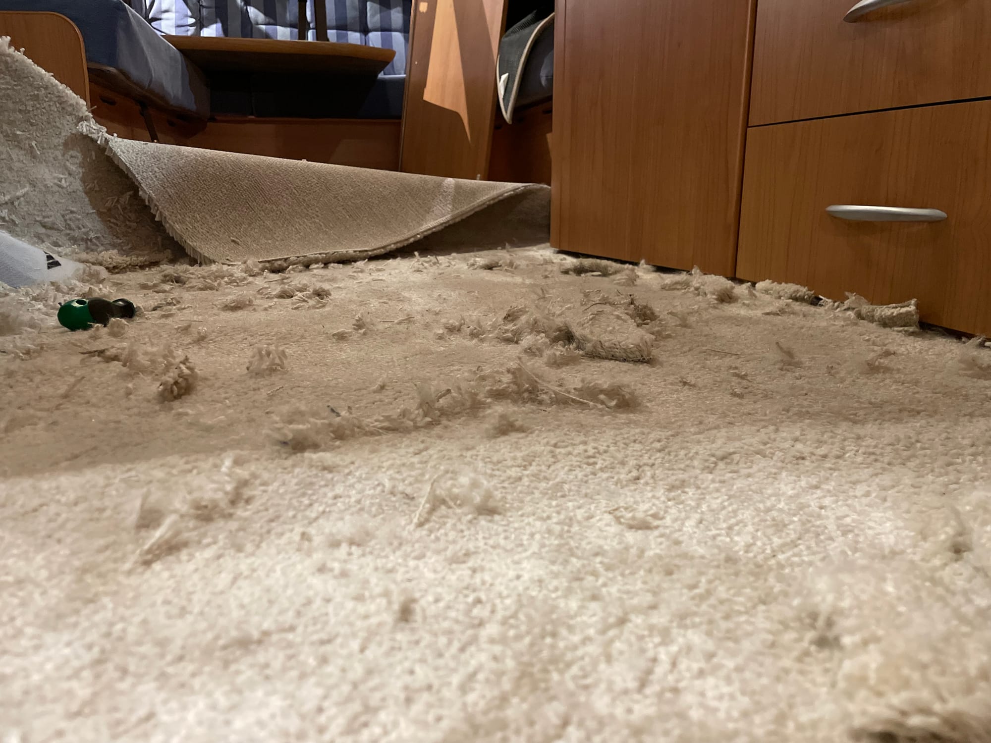 DIY-Teppich im Wohnwagen verlegen: Flauschig warm und rutschfest