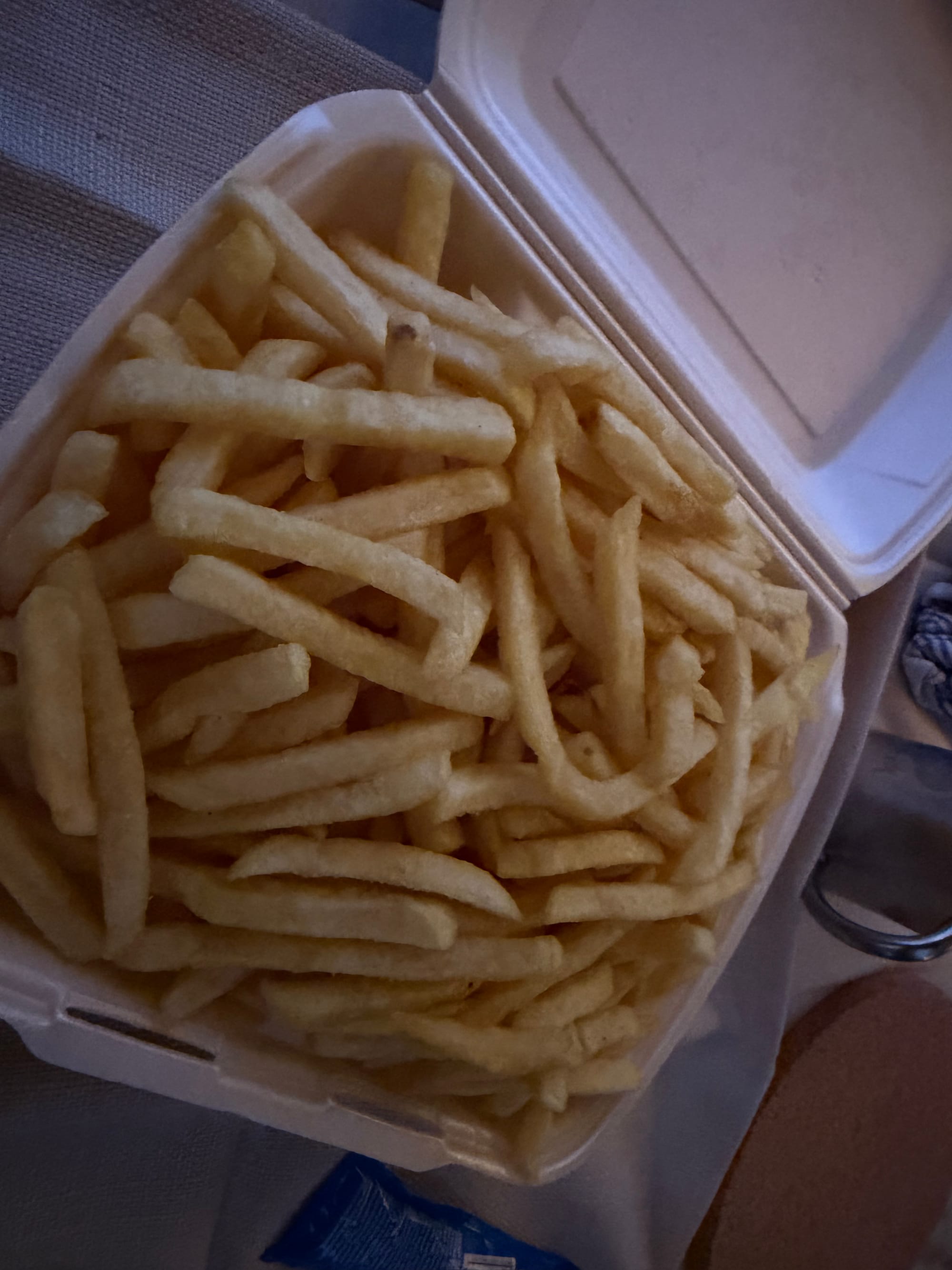 Camping direkt am Rhein: Unser Check vom Wellness-Rheinpark-Camping Bad Hönningen