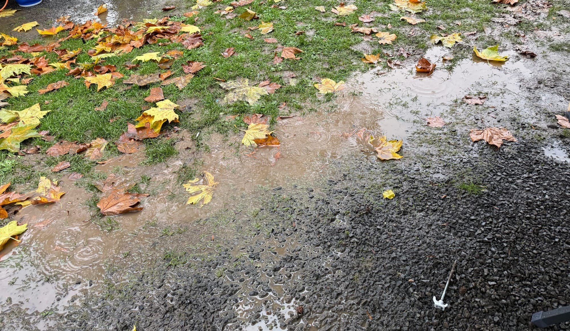Der "Campingplatz Zell" an der Mosel: Unsere Eindrücke vom 4-Sterne-Platz