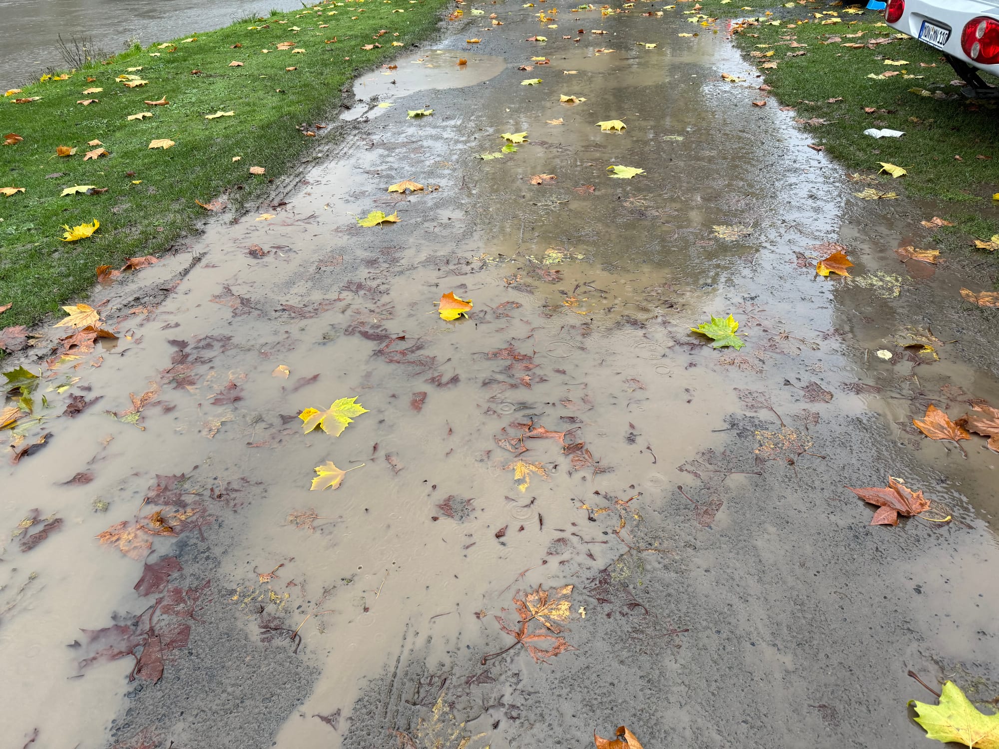 Der "Campingplatz Zell" an der Mosel: Unsere Eindrücke vom 4-Sterne-Platz