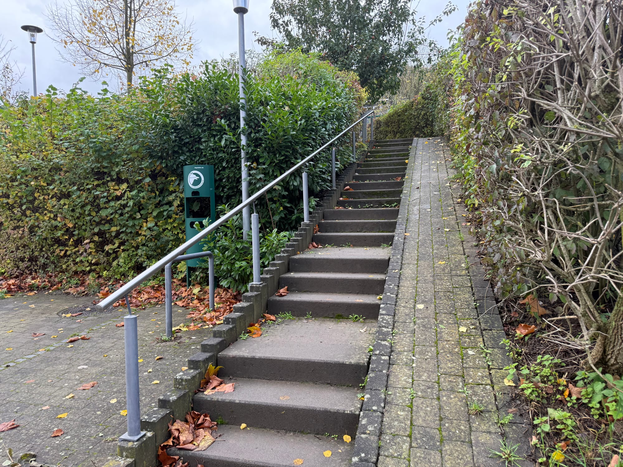 Der "Campingplatz Zell" an der Mosel: Unsere Eindrücke vom 4-Sterne-Platz