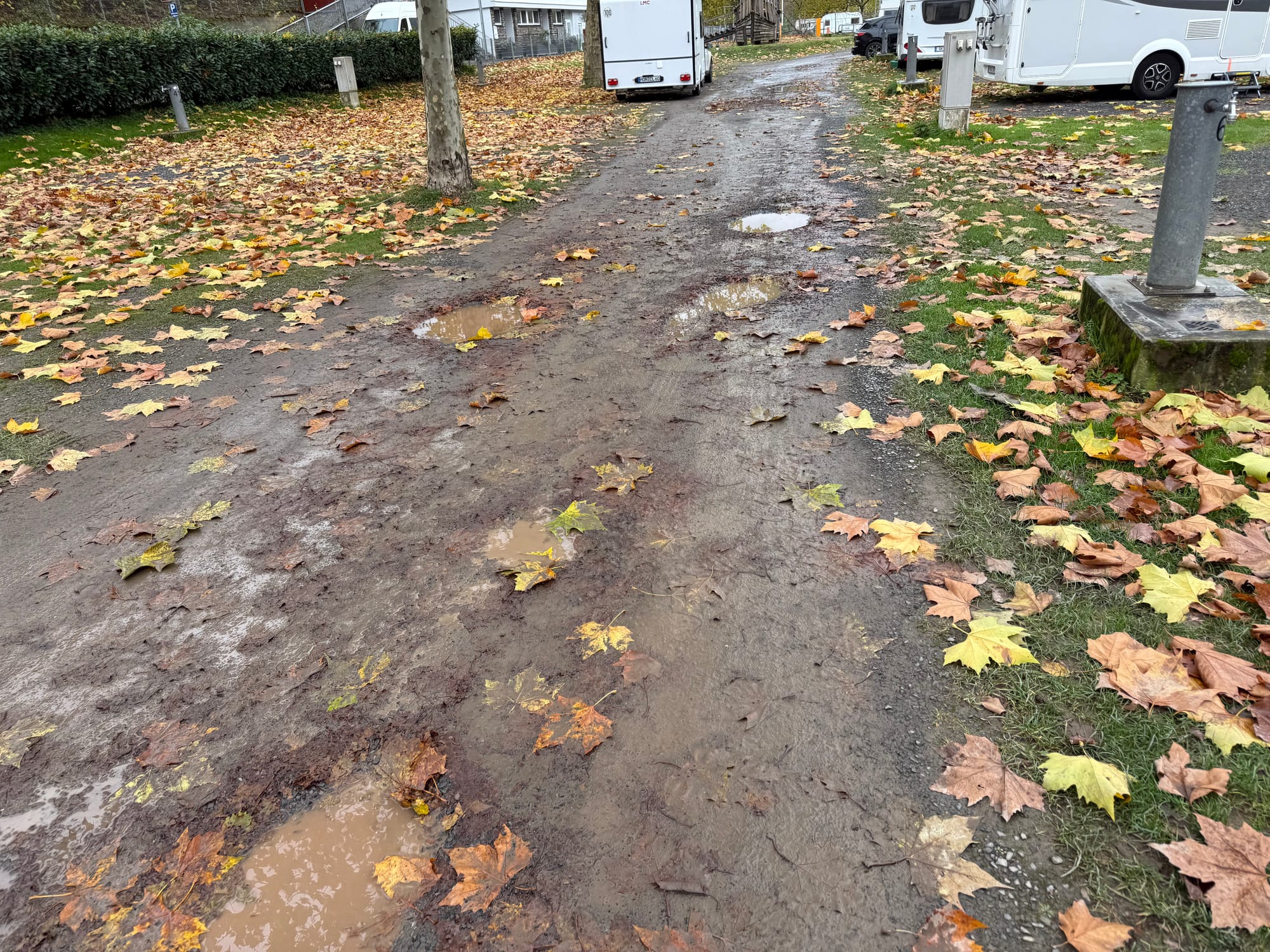 Der "Campingplatz Zell" an der Mosel: Unsere Eindrücke vom 4-Sterne-Platz